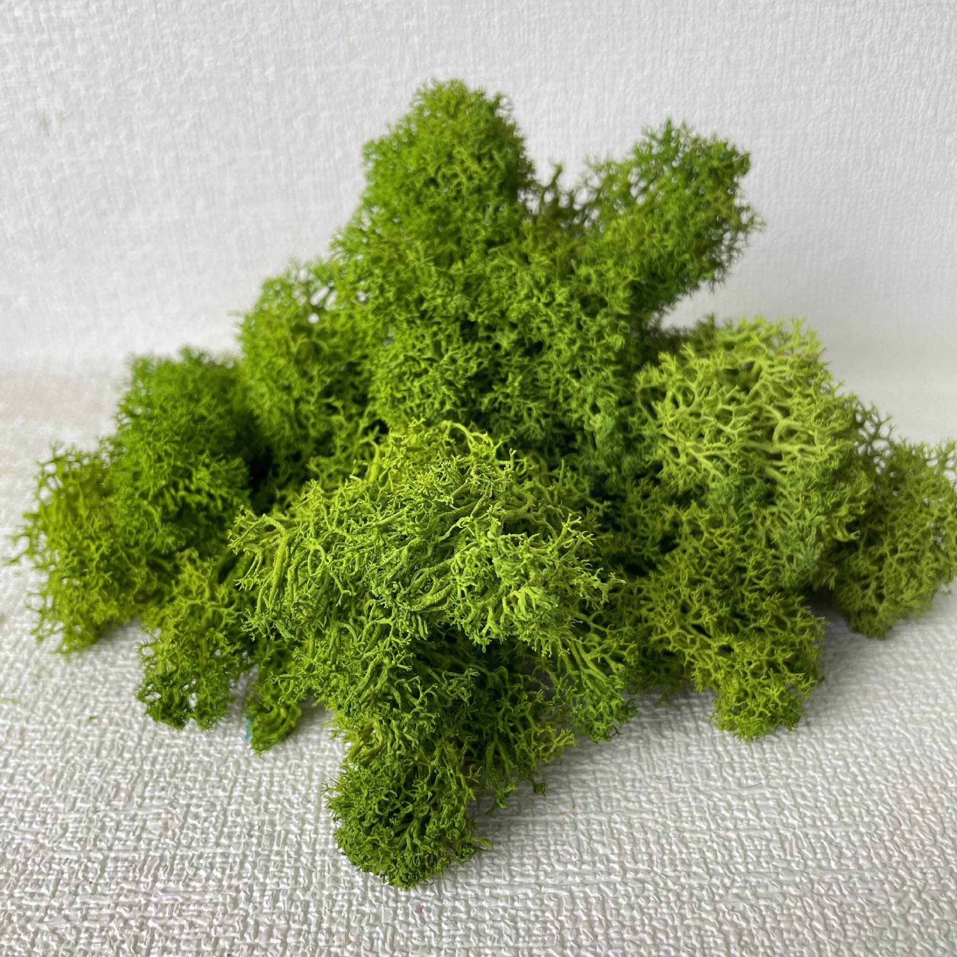 Natural Moss Grass