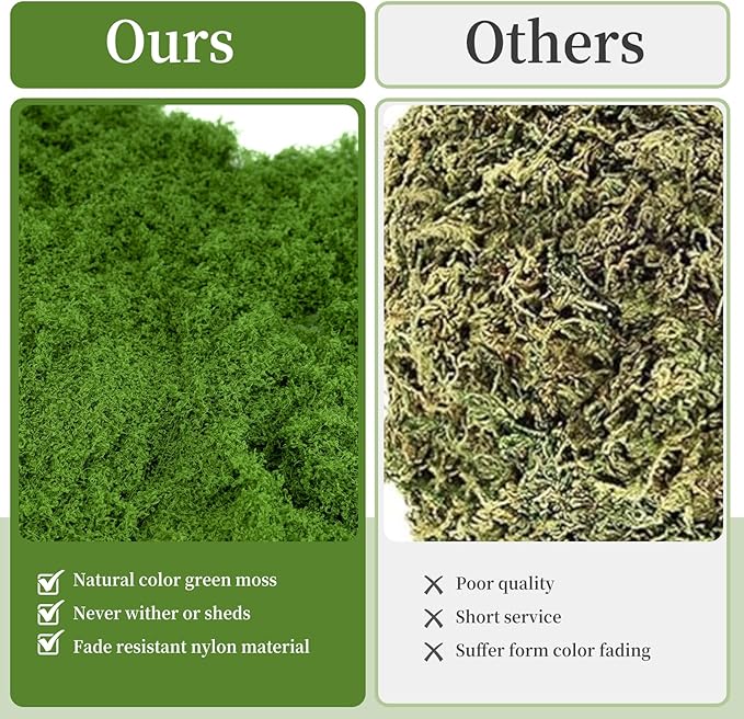 Moss Grass
