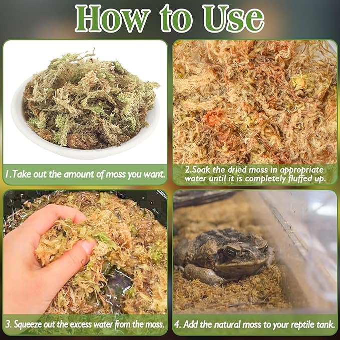 Moss Grass