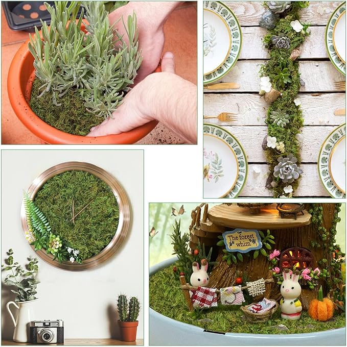 Moss Grass