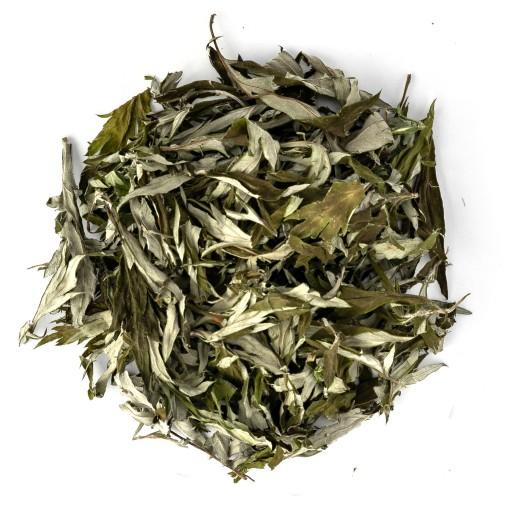 Dried Mugwort Leaves
