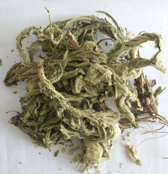 Dried Mullein Leaves - Product Image 5