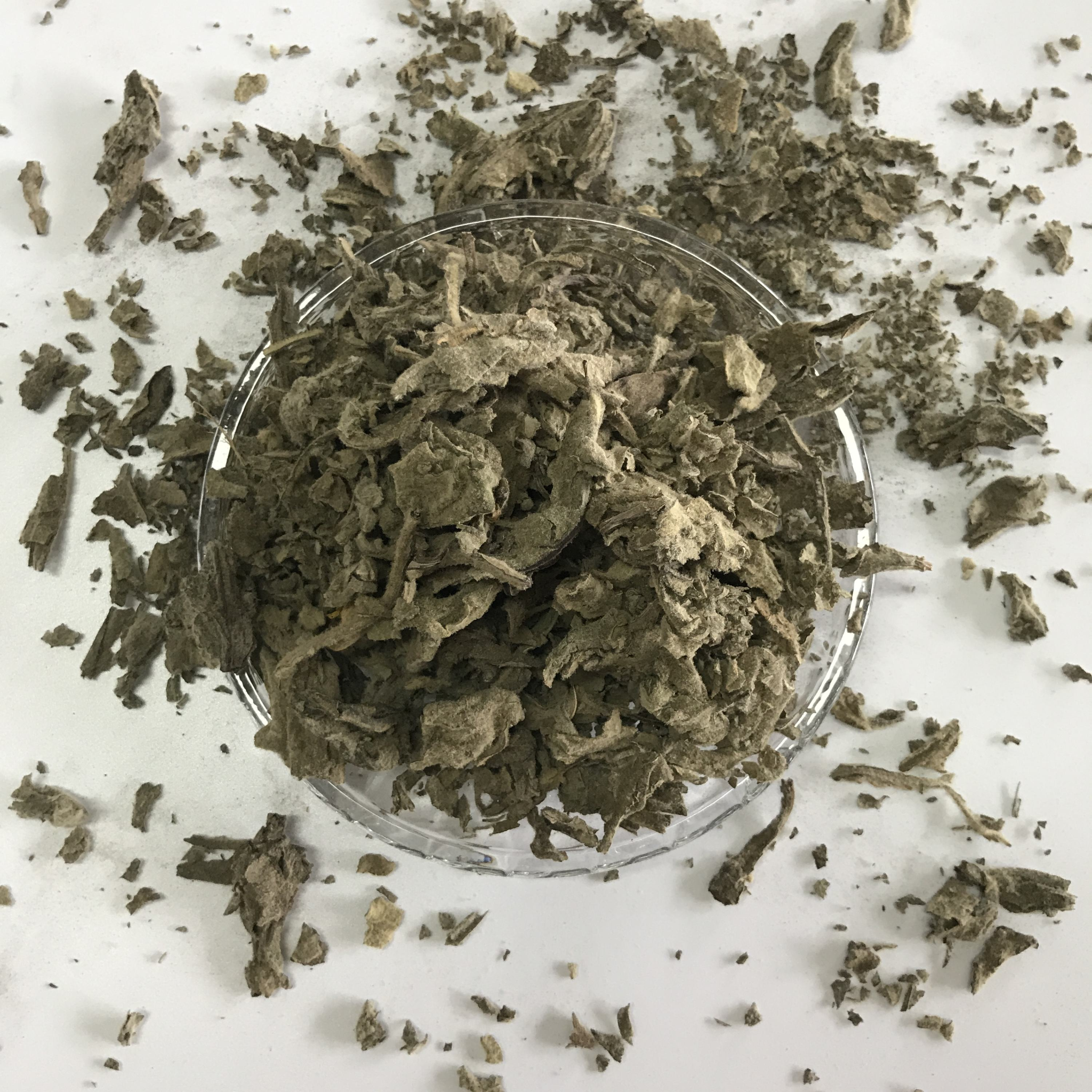 Dried Mullein Leaves Herbal Infusion