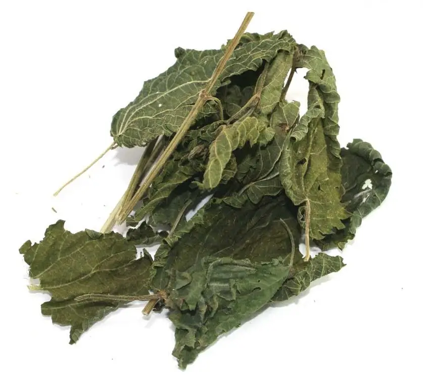 Dried Nettle Leaves Raw Material