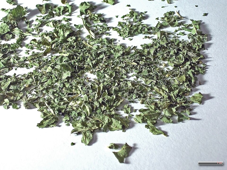 Dried Nettle Leaf Texture