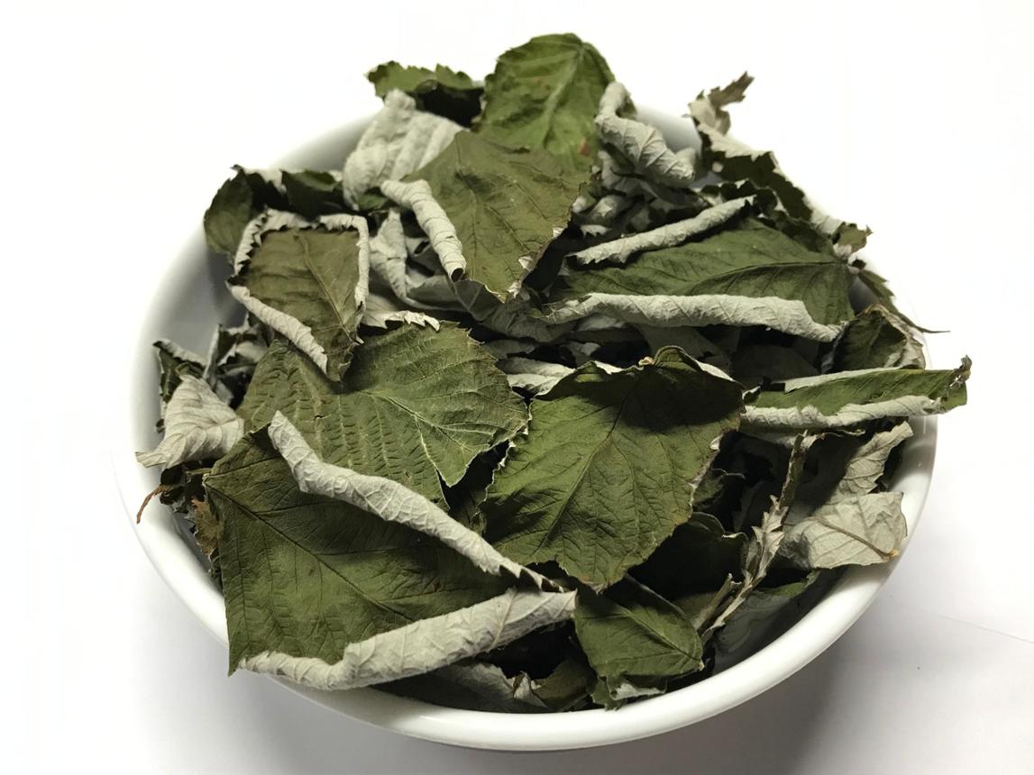 Dried Raspberry Leaves - Rubus idaeus
