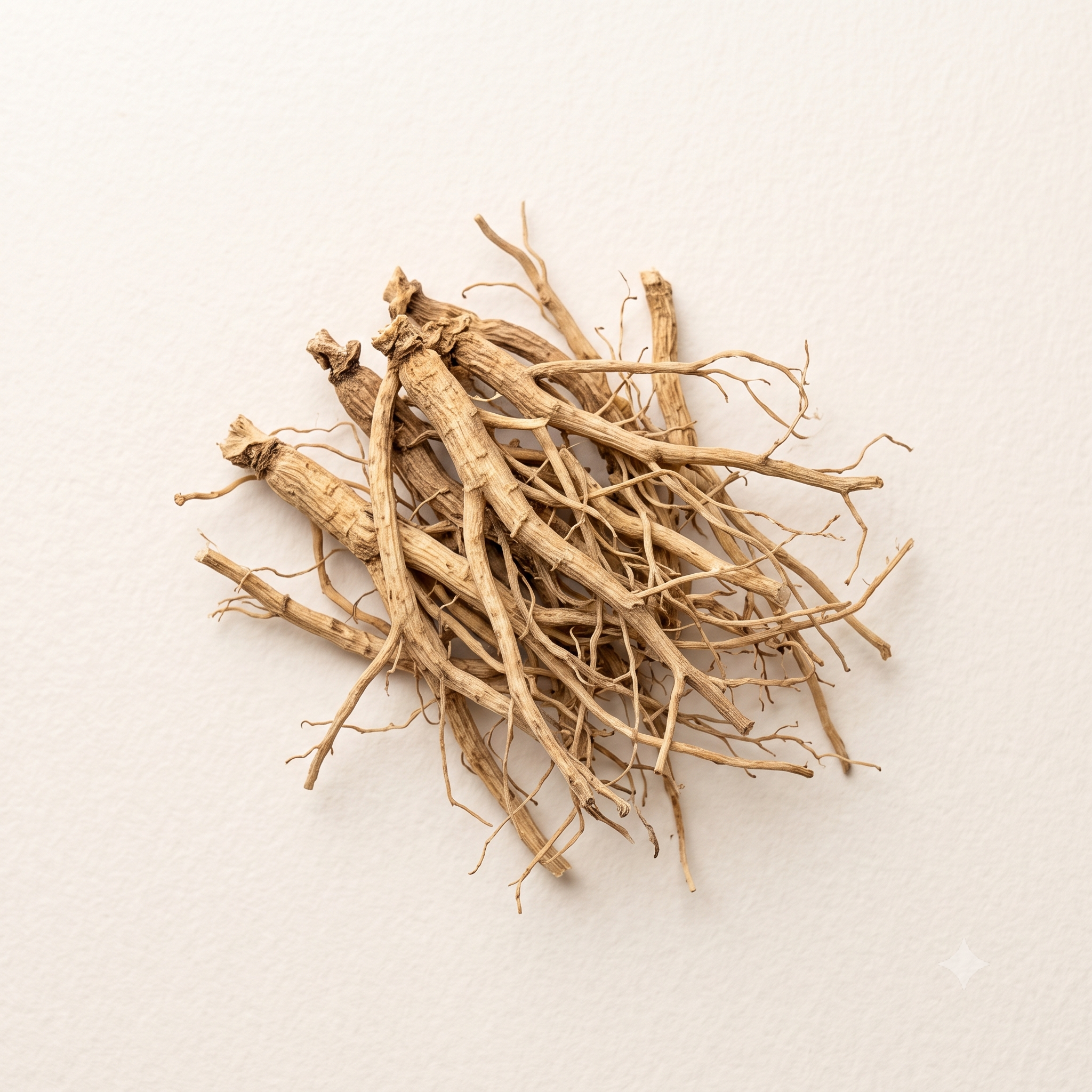 Dried Nettle Roots