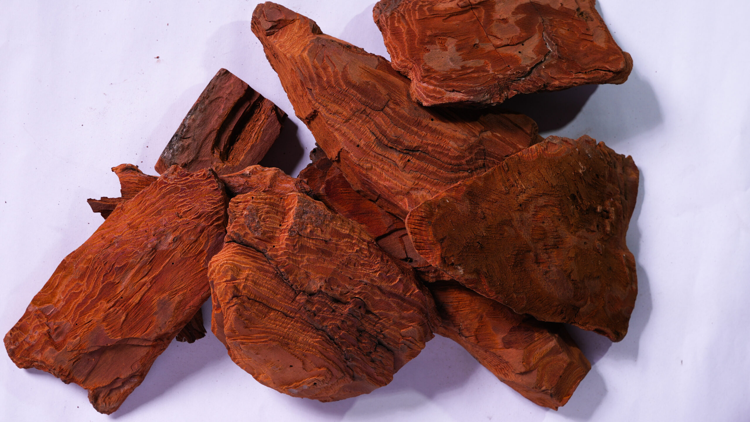 Pine Bark Bulk Supply