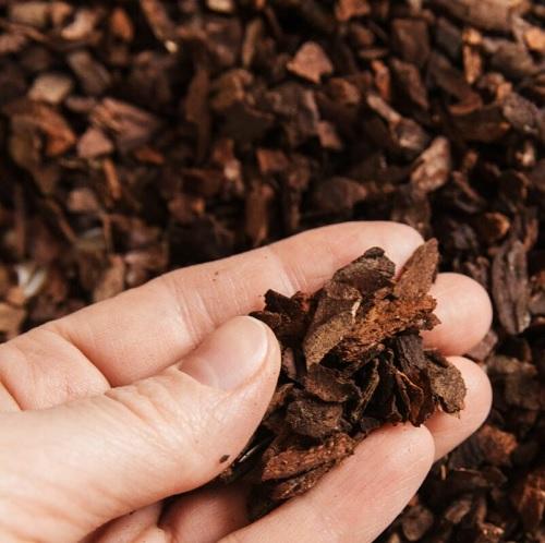 Pine Bark Herbal Grade for Extraction