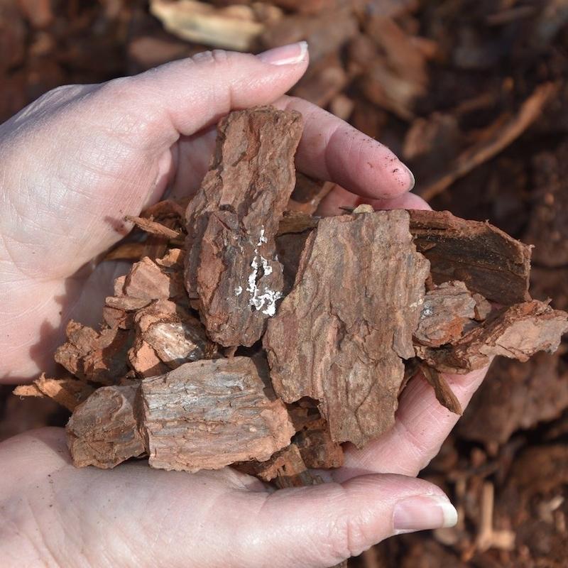 Pine Bark Herbal Grade - Raw Material 3