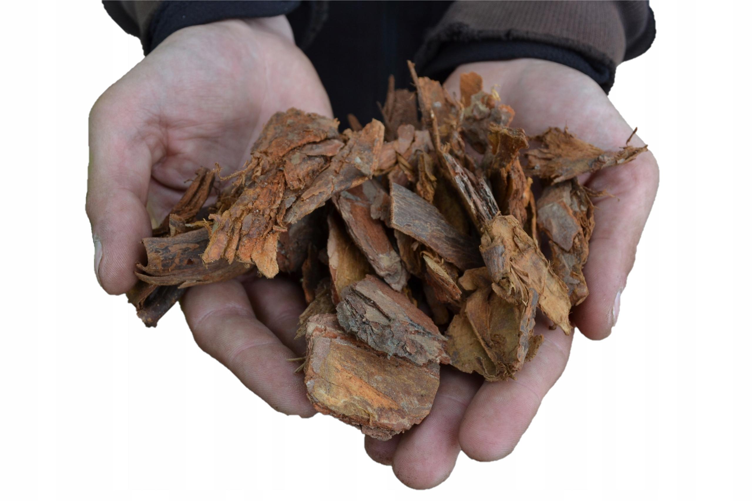 Pine Bark Herbal Grade - Raw Material 2