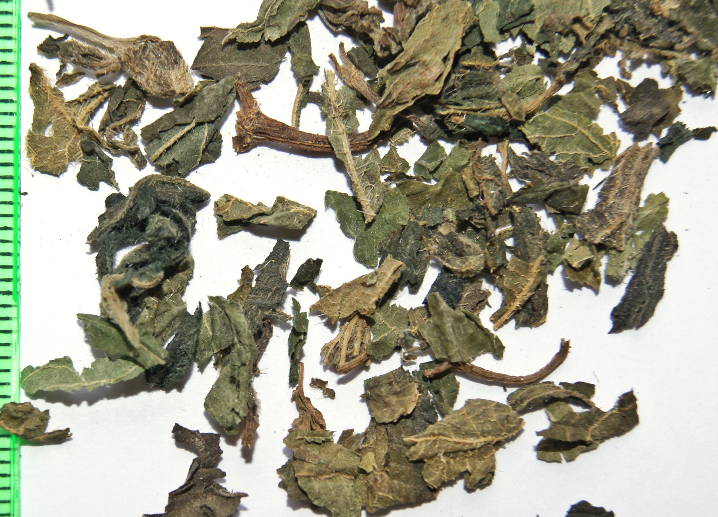 Dried Urtica dioica Leaf