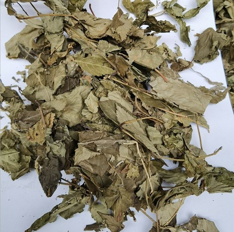 Dried Raspberry Leaves bulk raw material