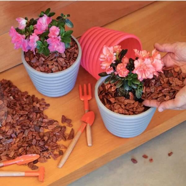 Pine bark mulch around potted plants