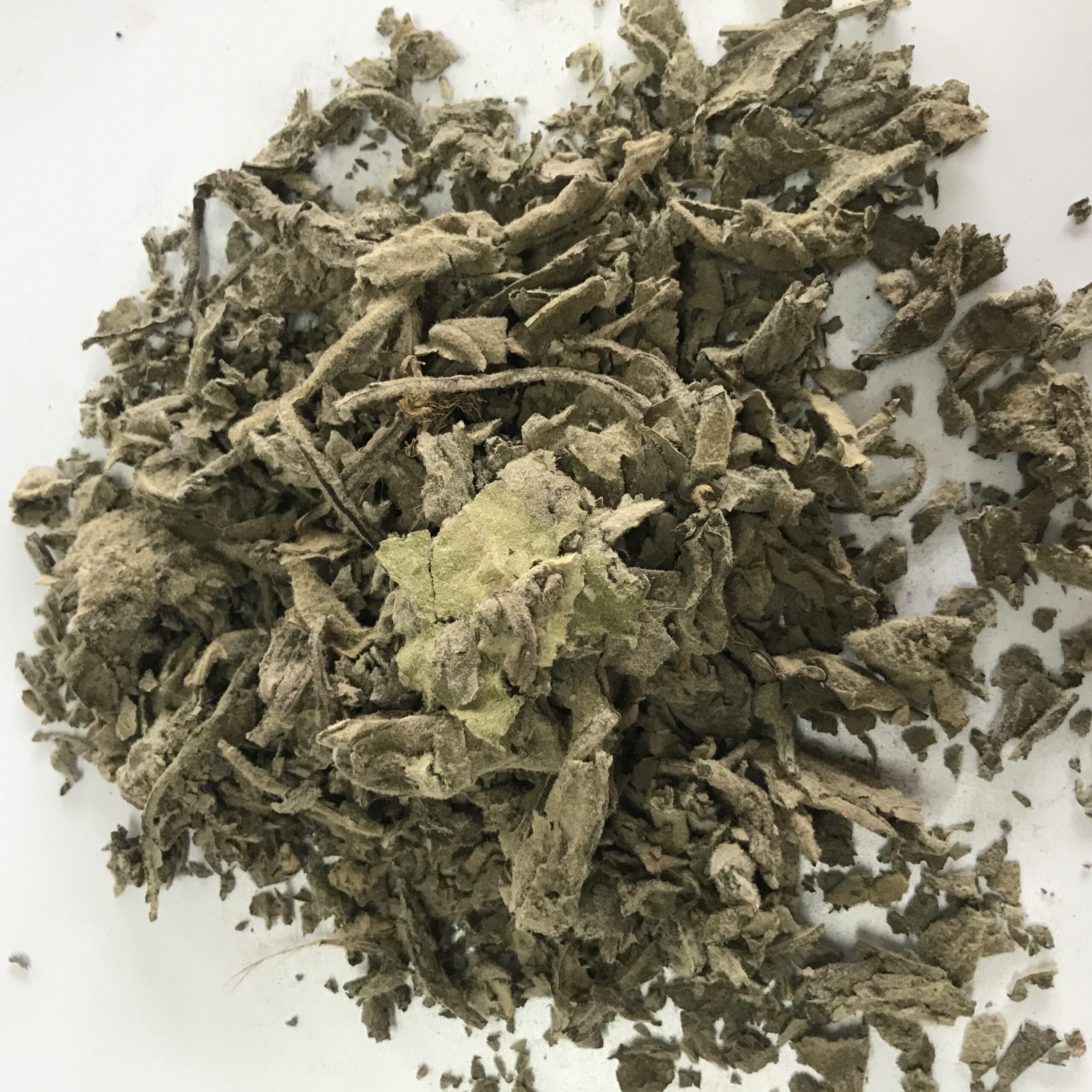 Dried Mullein Leaves - Product Image 4